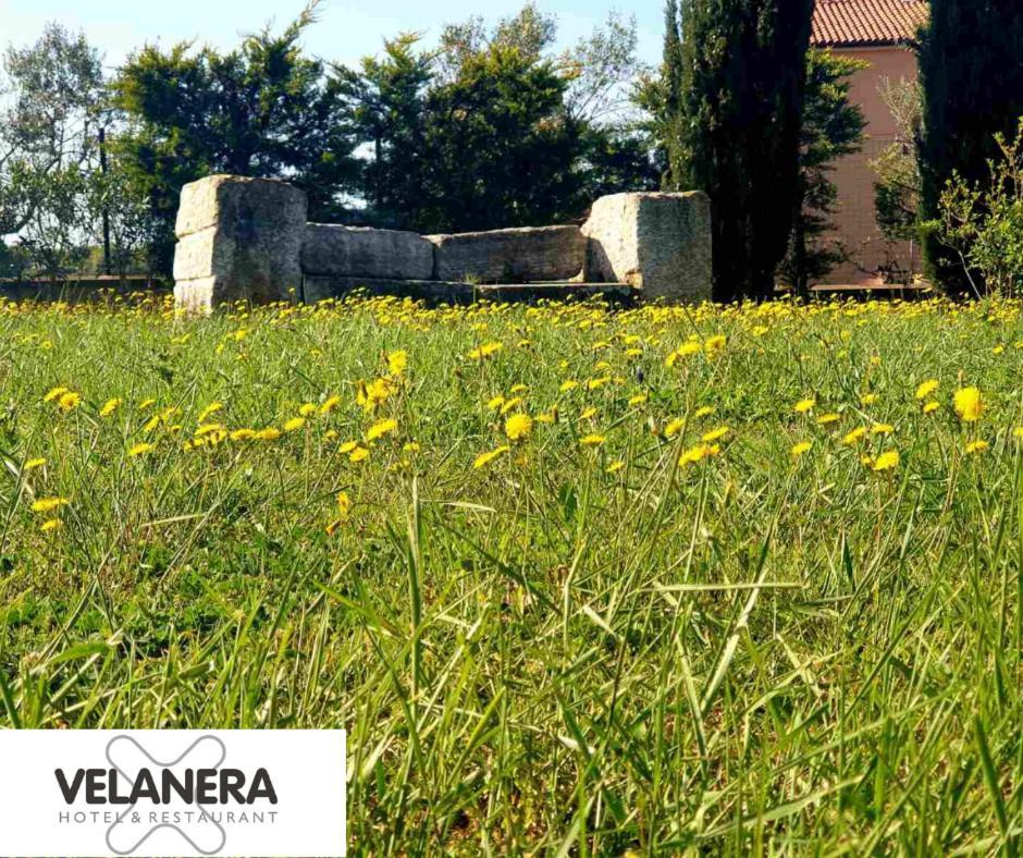 Velanera & Restaurant
